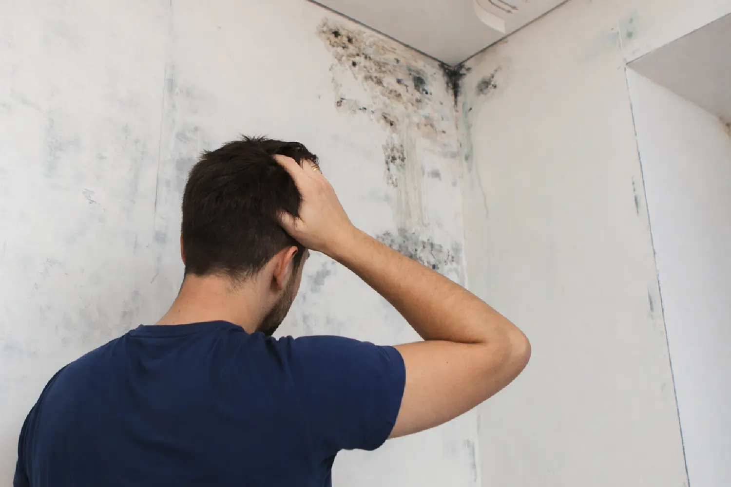 How to Improve Air Quality in Basement